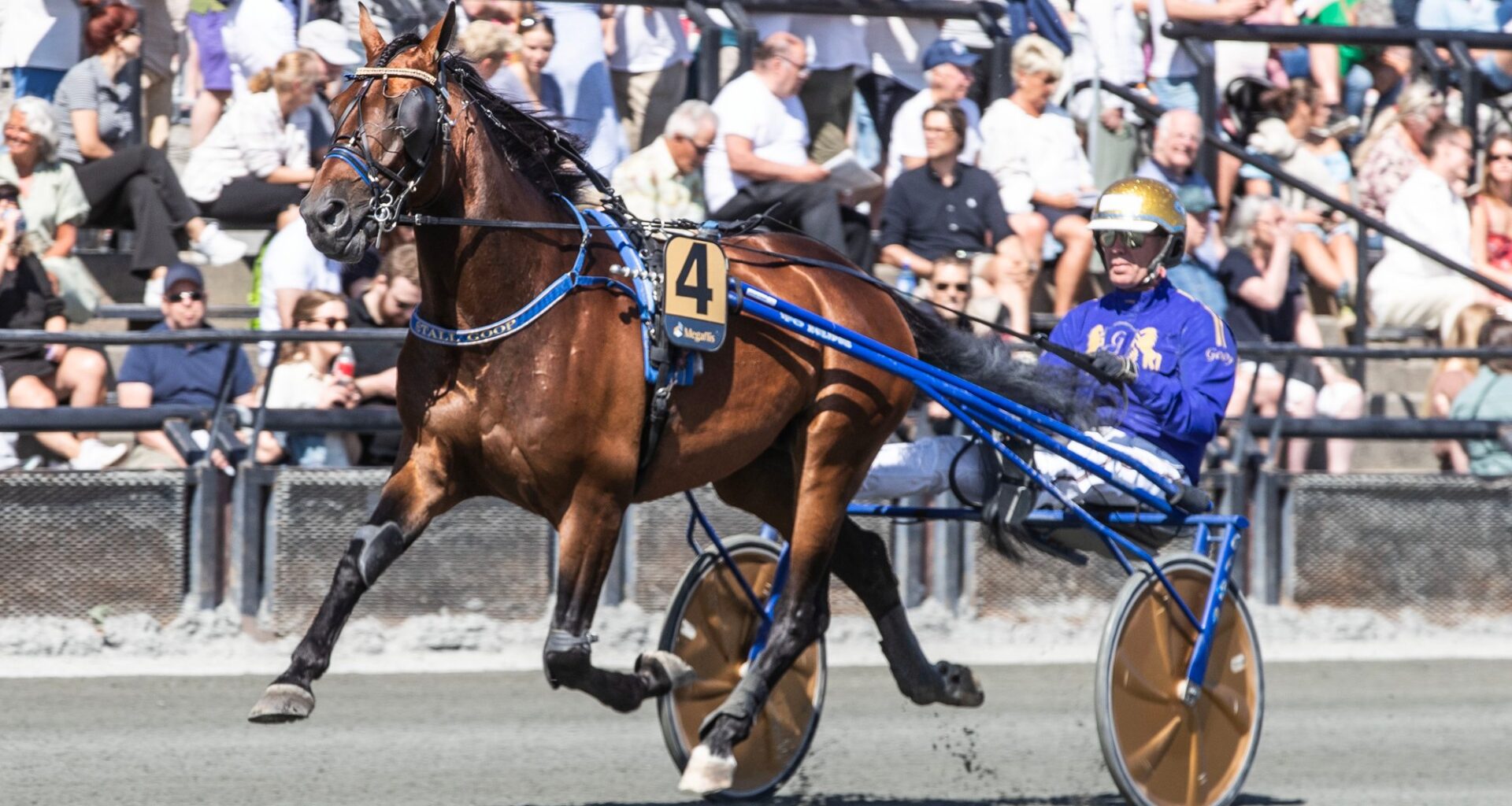 Herlig V65-omgang til lunsj