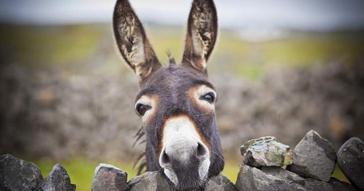 Advarer om uvanlige værskifter på Kanariøyene