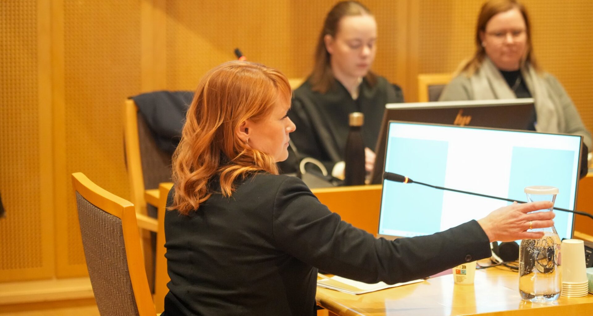 Kine Asper Vistnes, LO-leder | Merethe Solberg har saksøkt Fellesforbundet: Kine Asper Vistnes må vitne