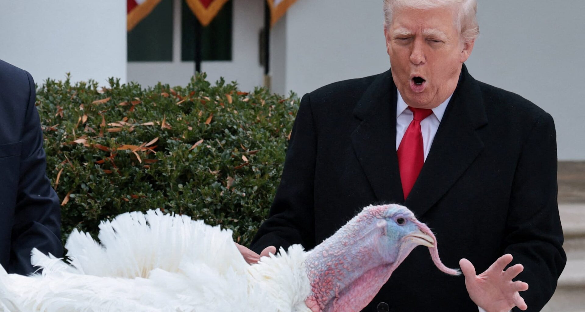 Trump benåder kalkunen Gobble.