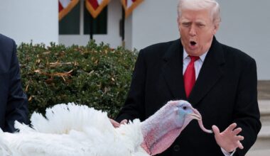 Trump benåder kalkunen Gobble.