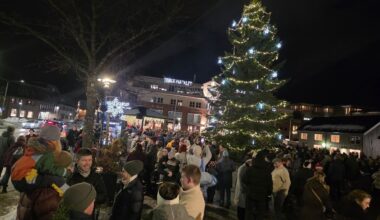 – Sjelden jeg får såpass til oppmerksomhet for et tre - bladet.no