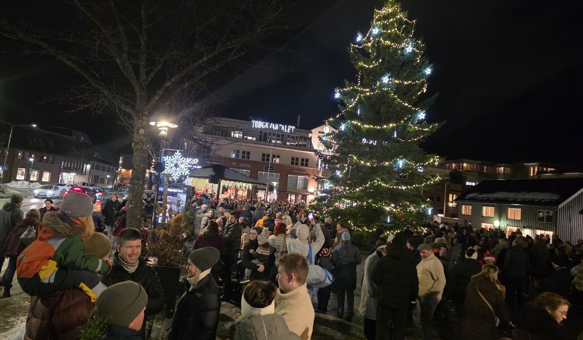 – Sjelden jeg får såpass til oppmerksomhet for et tre - bladet.no