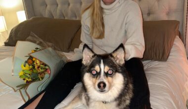 Norsk kvinne løslatt fra varetekt i USA