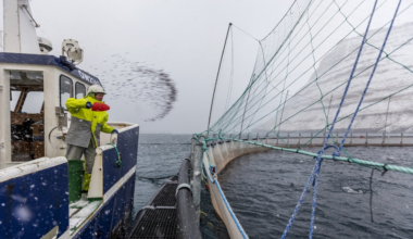 DNB Carnegies anbefaling på Bakkafrost og Hacksaw Gaming