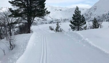 Kan bli langrennsløyper denne veka - fjordabladet.no
