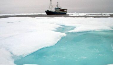 – Bryr de seg ikke om oss?