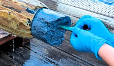 Forskere finner liv i blått vulkanslim på 3000 meters dyp