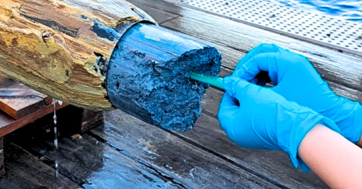 Forskere finner liv i blått vulkanslim på 3000 meters dyp