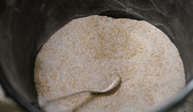 Bovaer, Metanhemmere | Danskene letter på Bovaer-kravene – pauser ikke bruken