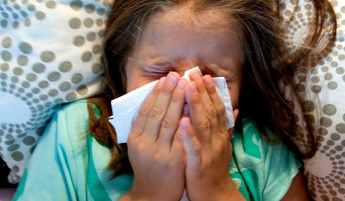 Venter rask økning - Midt-Norge skiller seg ut - adressa.no