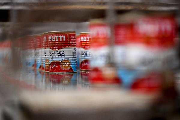 Cans filled with tomato polpa are transported on an assembly line at the factory of Italian chopped tomatoes or polpa company 'Mutti' near Parma, northern Italy, on September 11, 2019. - The 'Mutti' company was founded 120 years ago. Last year, the group, which now employs more than 500 people to which are added 1,200 seasonal workers in summer, has recorded sales of 308 million euros, with an increase of 16.7 percent over a year. (Photo by Miguel MEDINA / AFP)