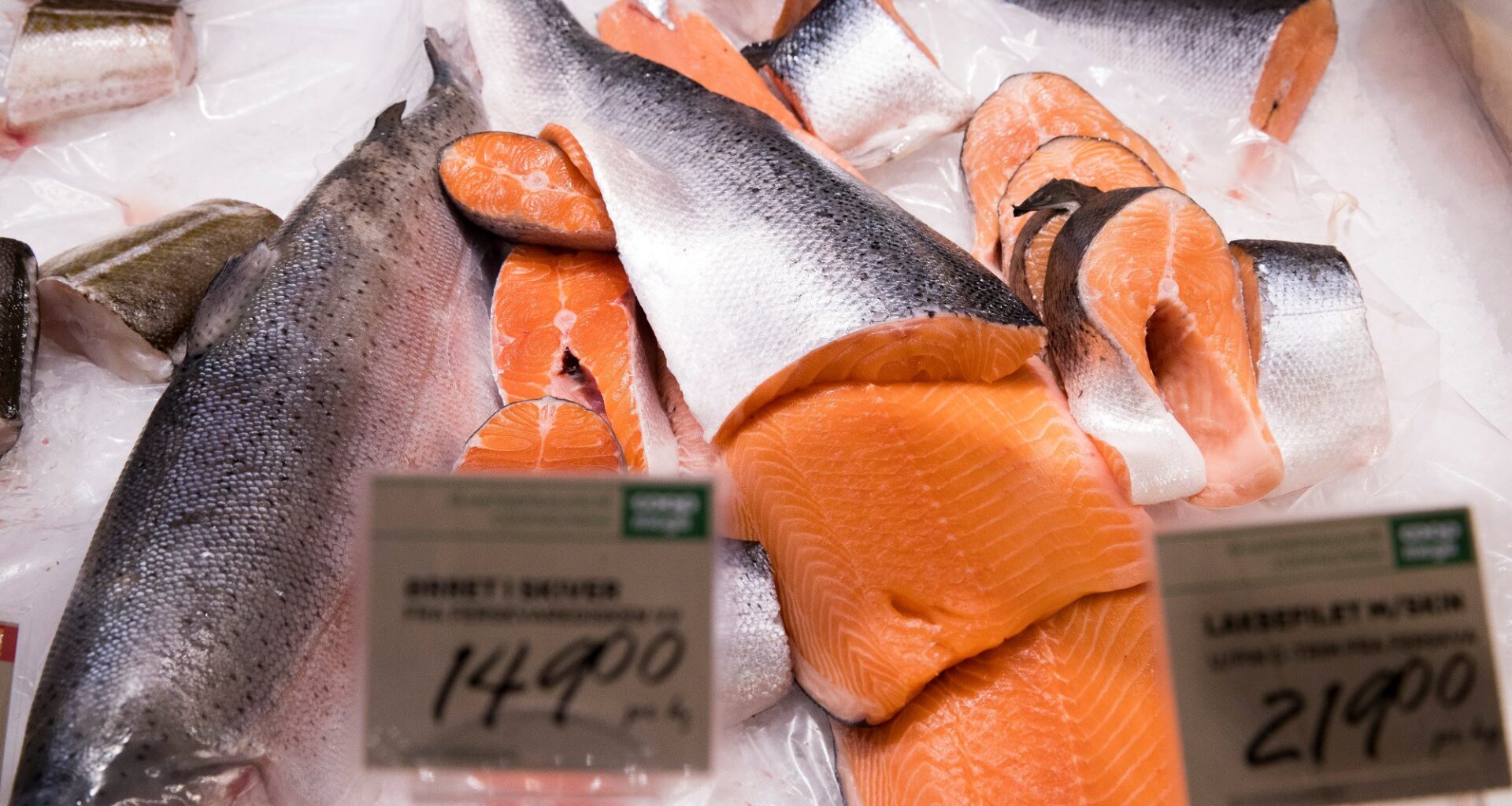 Sjømat, Fisk | Slår alarm om kvikksølv i sjømat: – Kan bli en trussel