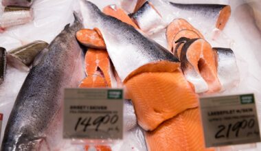 Sjømat, Fisk | Slår alarm om kvikksølv i sjømat: – Kan bli en trussel