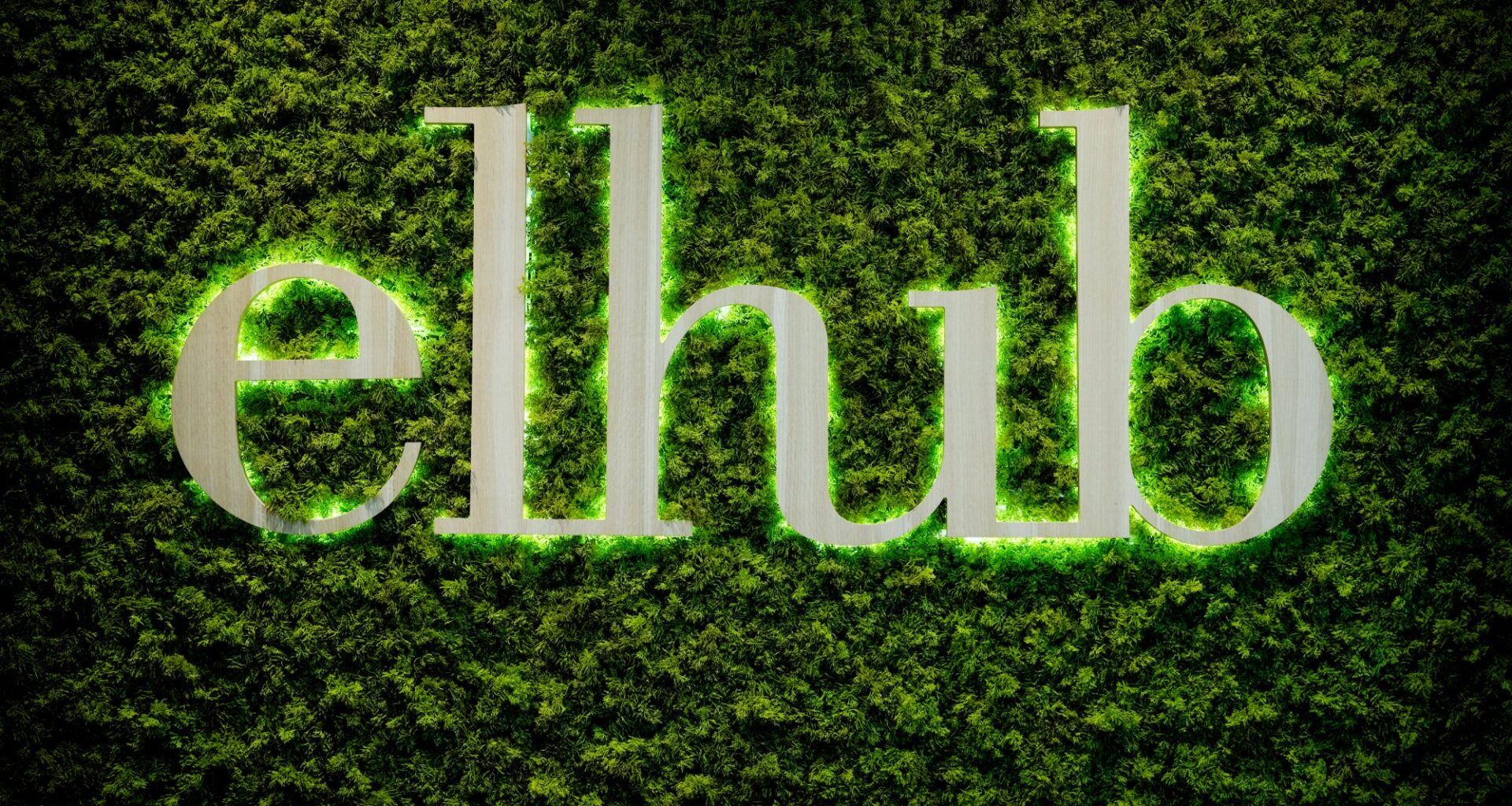 Norgespris, Strømstøtte | Så mange angret på at de bestilte norgespris