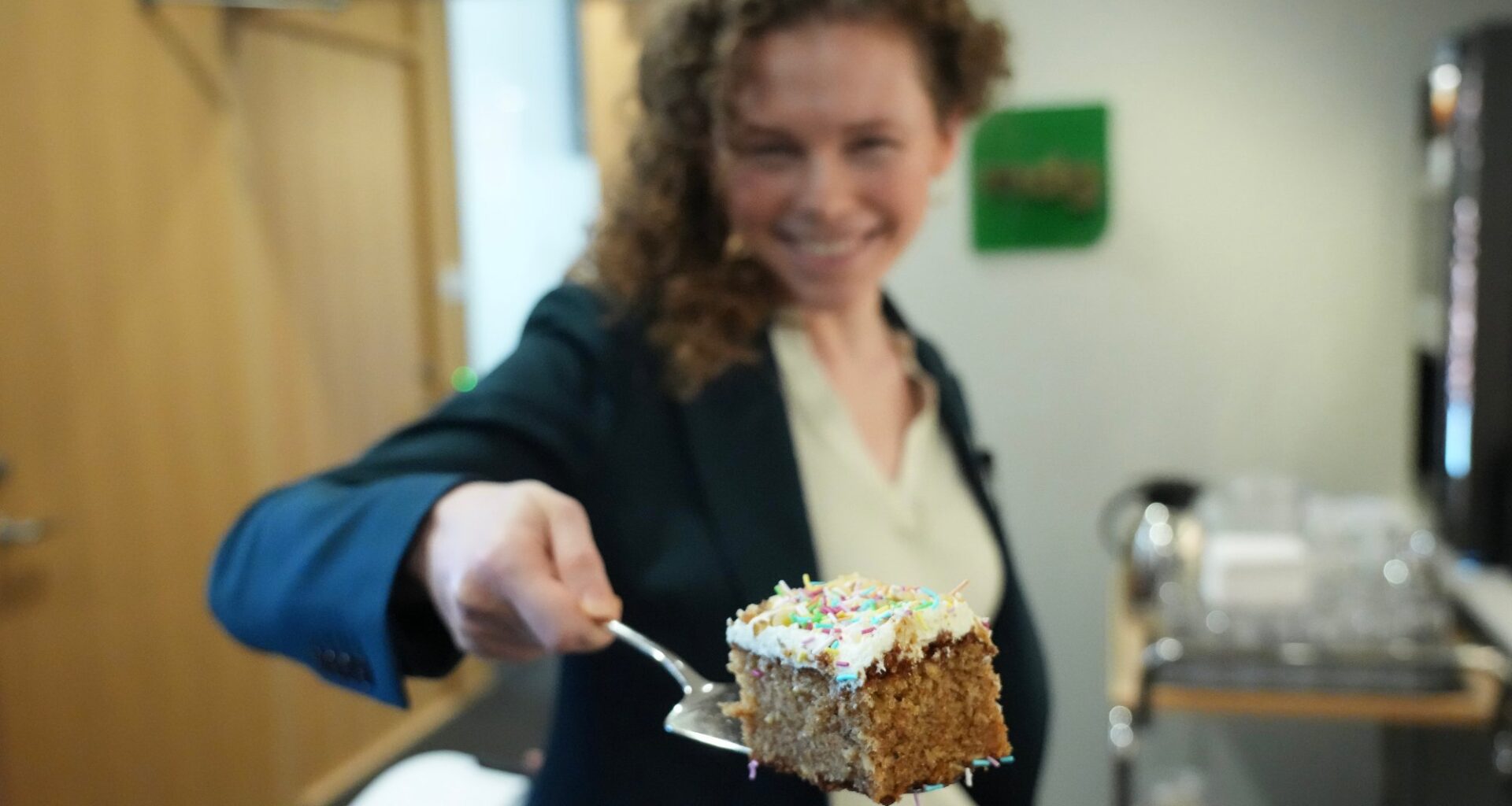 MDG, Statsbudsjett | MDGs budsjett: Vil øke skatter og avgifter med 20 milliarder