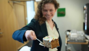 MDG, Statsbudsjett | MDGs budsjett: Vil øke skatter og avgifter med 20 milliarder