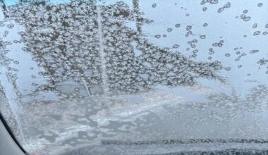 Bilist i Sørfold mistet lappen etter dette