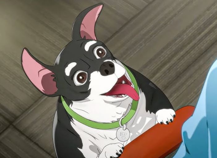 Dispatch avslutter sin første sesong på en god måte