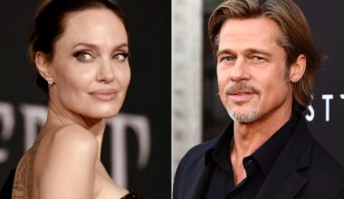 Brad Pitt saksøker Angelina Jolie for 35 millioner dollar