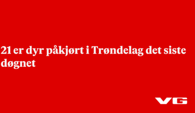 21 er dyr påkjørt i Trøndelag det siste døgnet