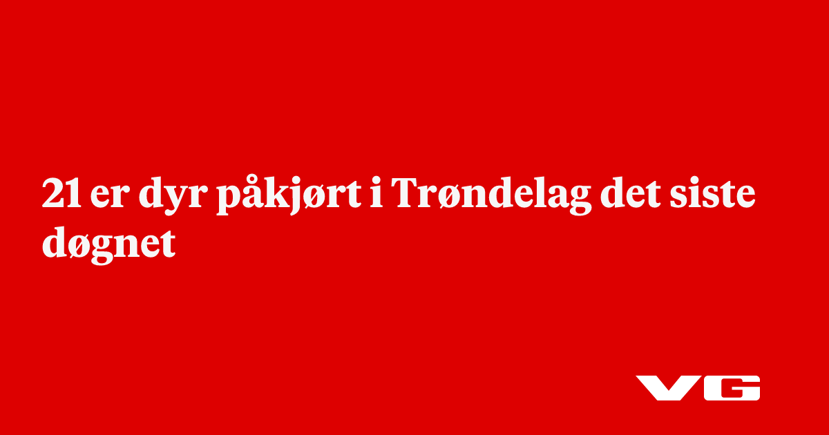 21 er dyr påkjørt i Trøndelag det siste døgnet