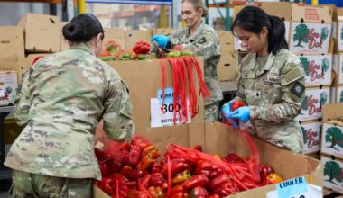 Millioner mister matpenger i USA