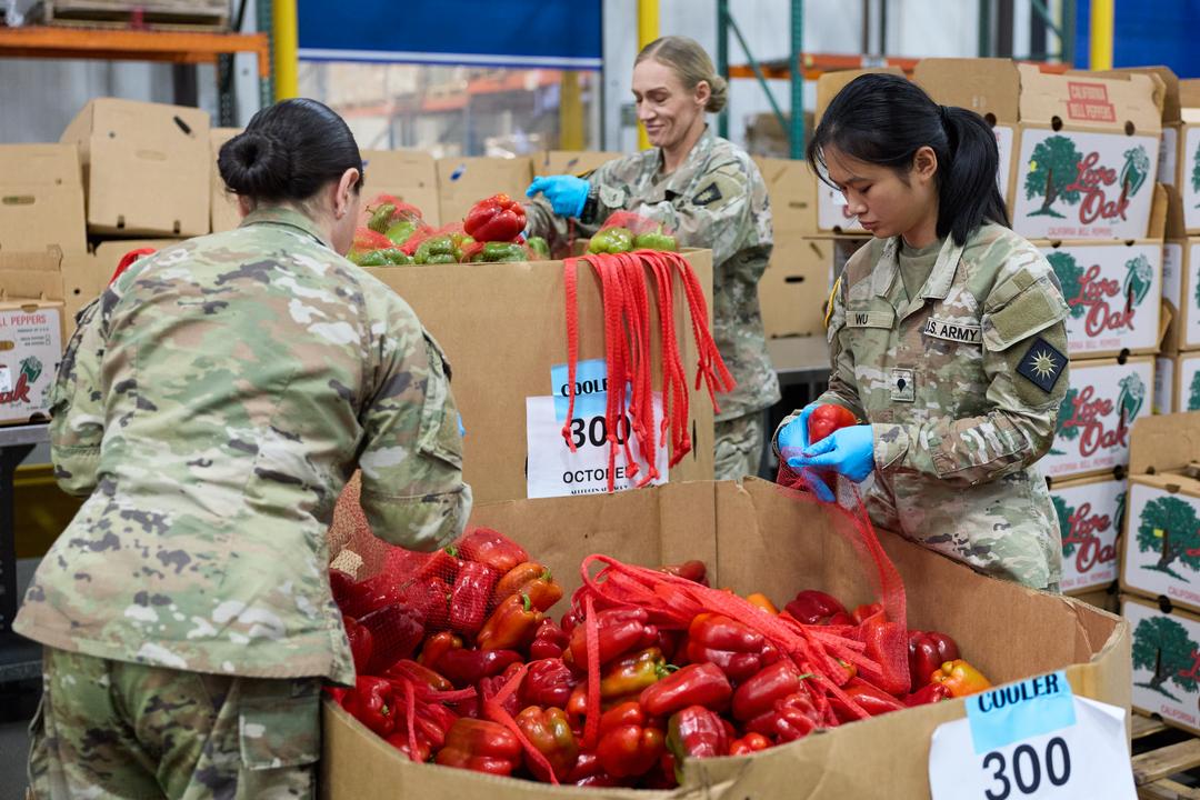 Millioner mister matpenger i USA