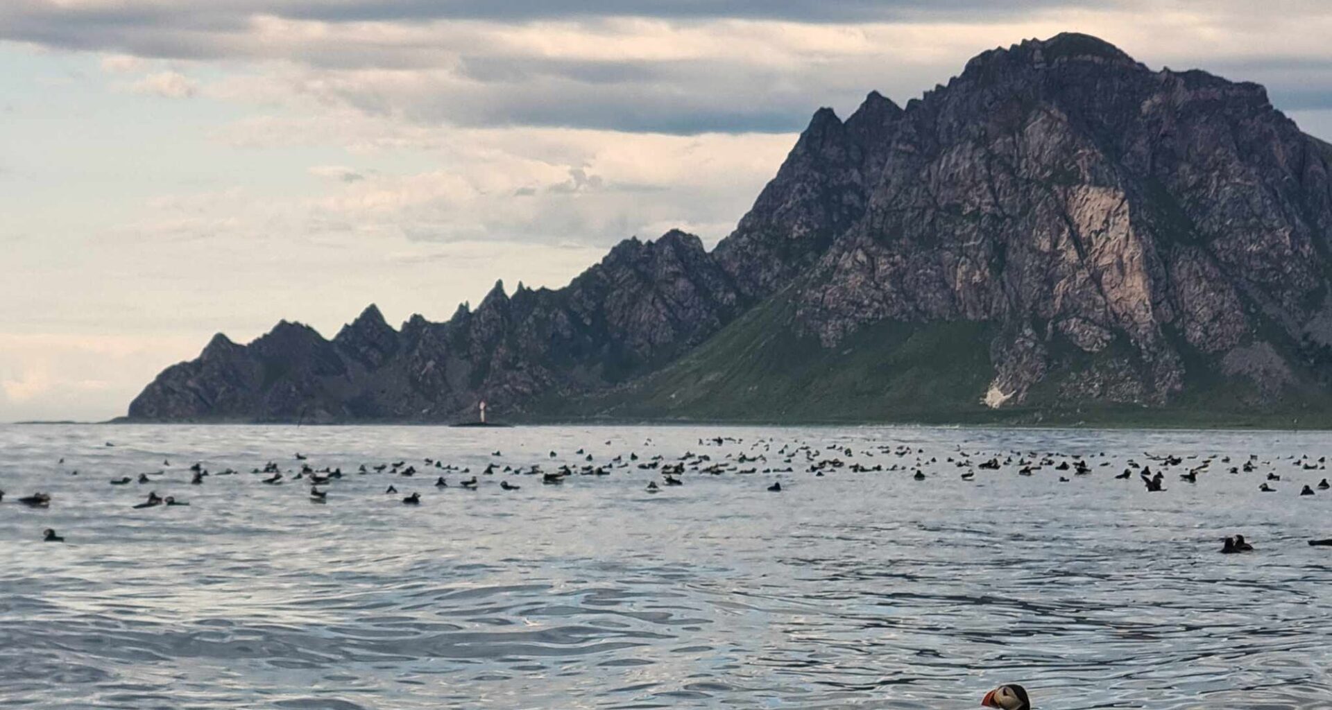 Naturvern, Elektrifisering av Melkøya | Nord‑Norge trenger folk og natur – ikke luftslott