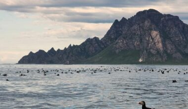 Naturvern, Elektrifisering av Melkøya | Nord‑Norge trenger folk og natur – ikke luftslott