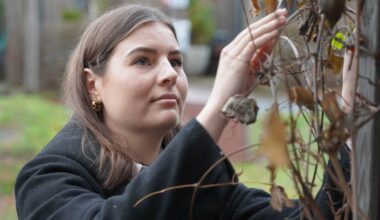 En person står ute og berører tørre grener og blader. Hun har på seg en svart jakke og har lange, brune hår. Omgivelsene er grønne og trær er synlige i bakgrunnen. Det er en tydelig høststemning med visne blader.