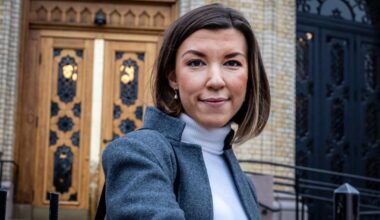 – Arbeiderpartiet er sikkert veldig glad for at LO får flere medlemmer