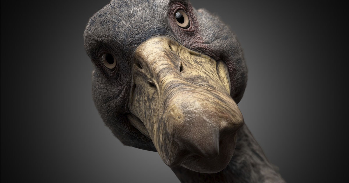 5 utdødde dyr som forskere ønsker å vekke til live igjen