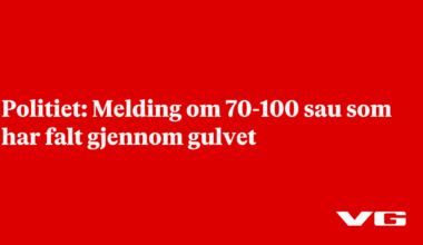 Melding om 70-100 sau som har falt gjennom gulvet
