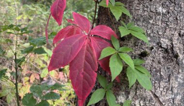 Været, Tønsberg | Nå blir det skikkelig varmt: – Over normalen