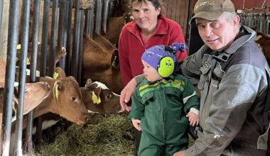 Landbruk, Mjølkebonde | – Ei anerkjenning på at me har gjort litt rett - Hordaland