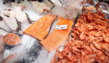 Kosthold, Fisk | Slår alarm om nordmenns kosthold: – Prisene må ned