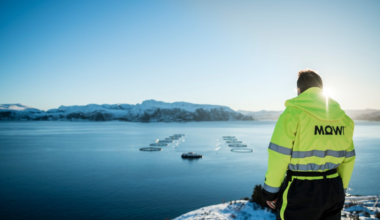 DNB Carnegies anbefaling på Mowi og Link Mobility