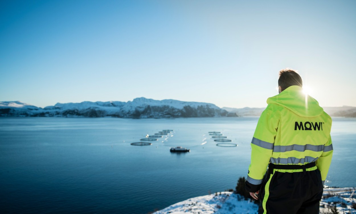 DNB Carnegies anbefaling på Mowi og Link Mobility