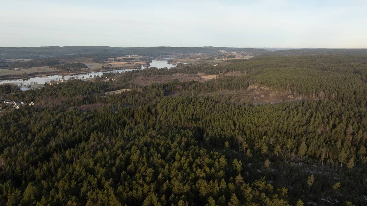 – Kjem til å bruke vanvitig mykje straum – NRK Østfold – Lokale nyheter, TV og radio