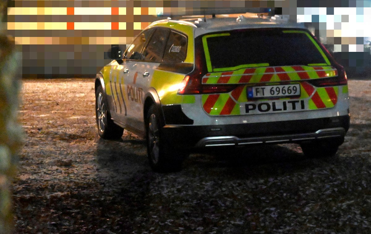 Nyheter, Kriminalitet og rettsvesen | Politiet har pågrepet flere personer i Hamar - Gudbrandsdølen Dagningen