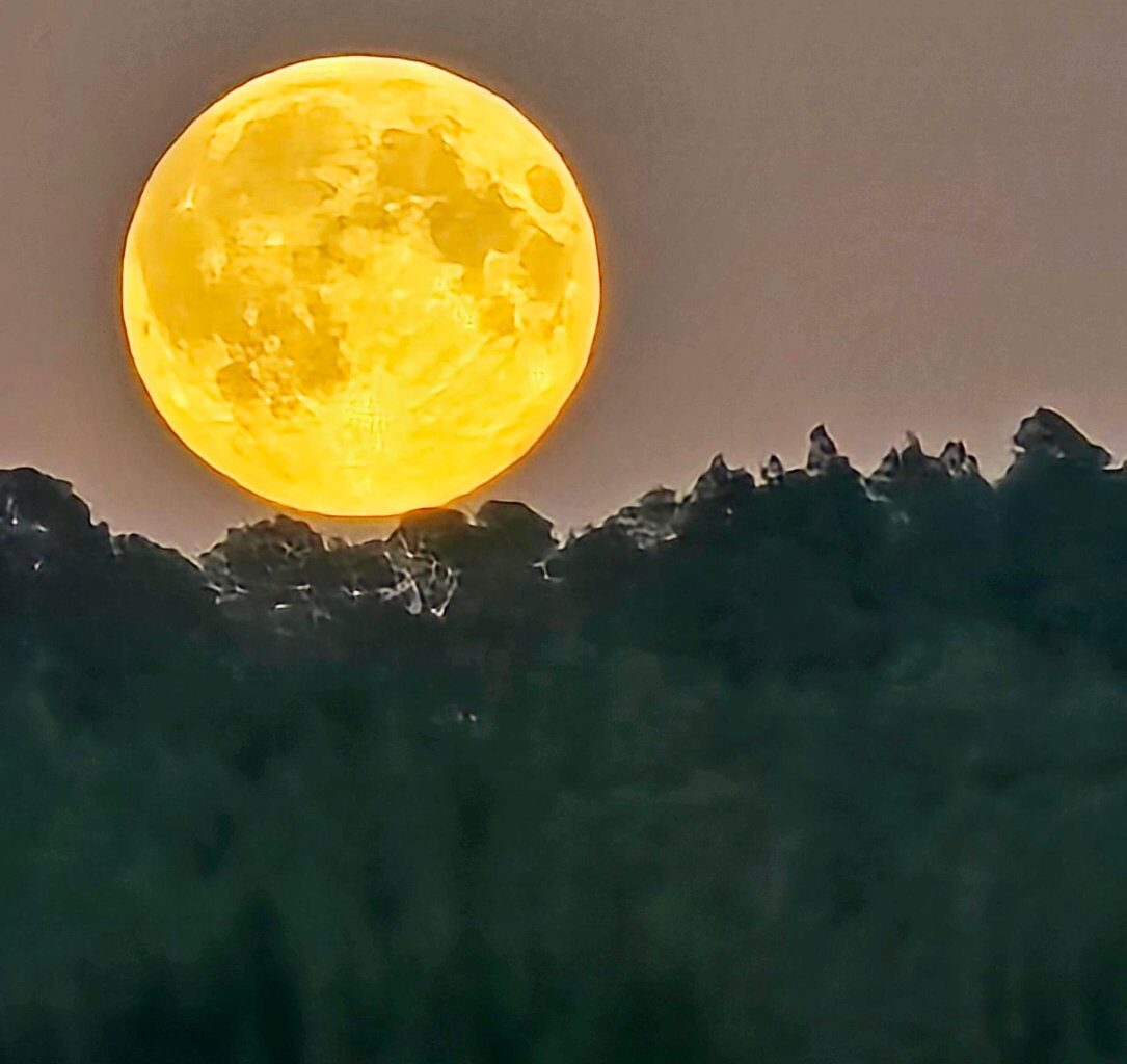 Månen, Supermåne | Supermåne lyste opp himmelen over Nordmøre