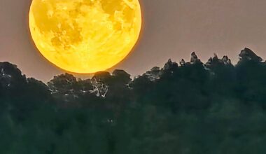 Månen, Supermåne | Supermåne lyste opp himmelen over Nordmøre