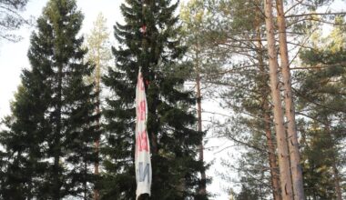 Protest, London-gran | Klatrer opp i London-grana i protest