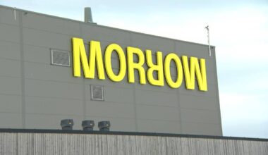 – Fryktar at Morrow ikkje er liv laga – NRK Sørlandet – Lokale nyheter, TV og radio