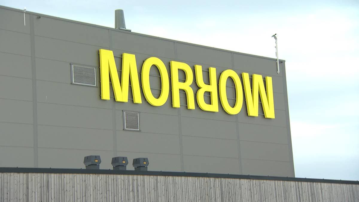– Fryktar at Morrow ikkje er liv laga – NRK Sørlandet – Lokale nyheter, TV og radio