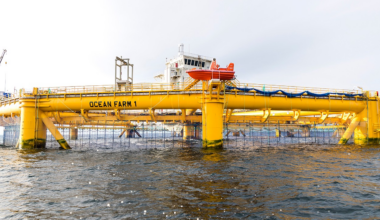 DNB Carnegies anbefaling på Salmar og Norconsult