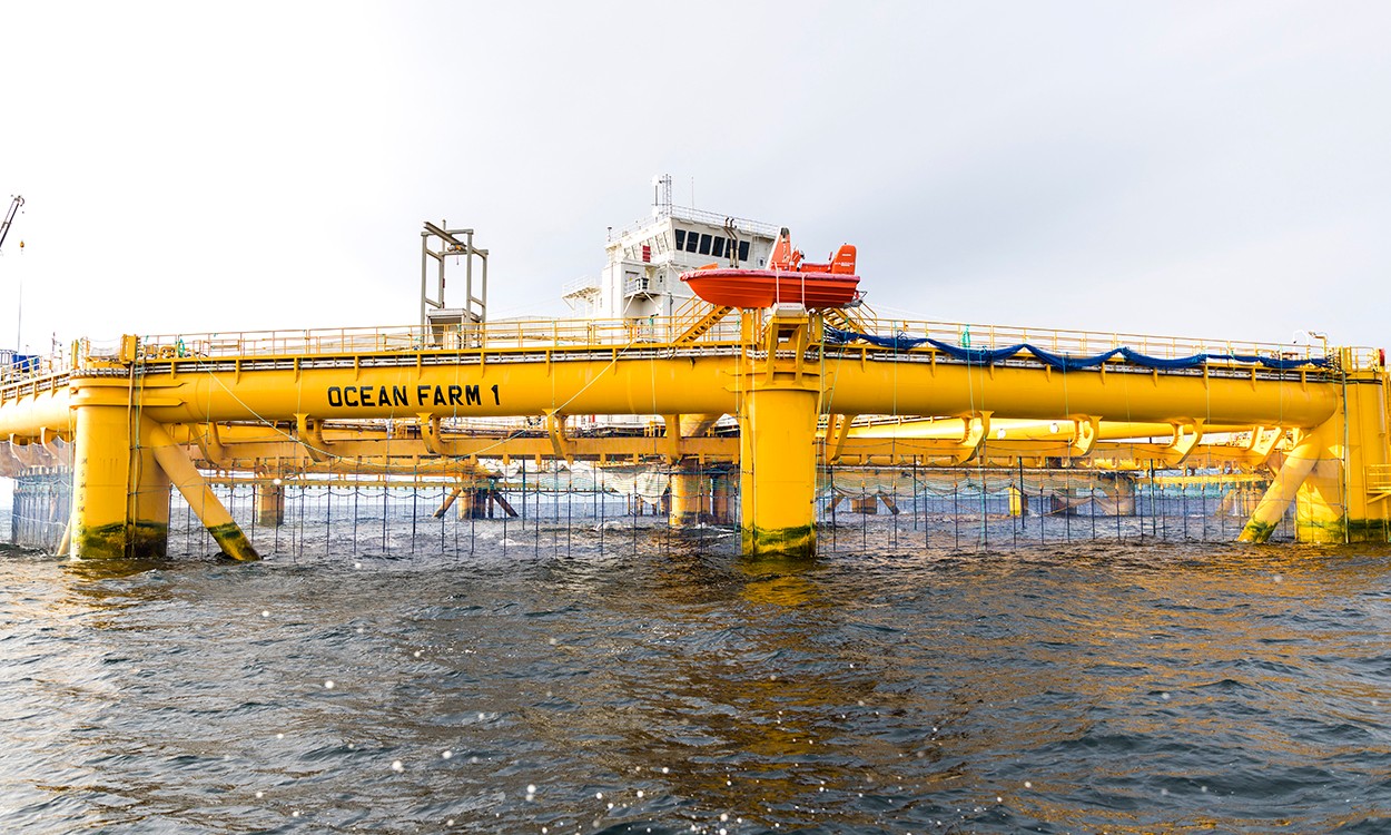 DNB Carnegies anbefaling på Salmar og Norconsult