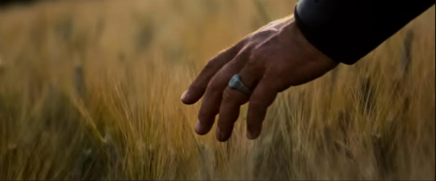 Forskere oppdager "den syvende sansen" som gjør at mennesker kan ta på ting på avstand -