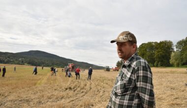 Bovaer, Dyrehelse | Glad for at dyra slipper å spise mer av det kjemiske stoffet: – Noen puster letta ut